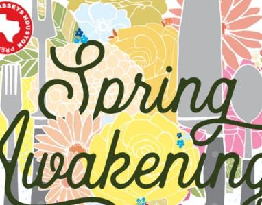 Spring Awakenings 2017